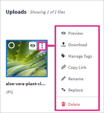 Example-Upload-Action.jpg