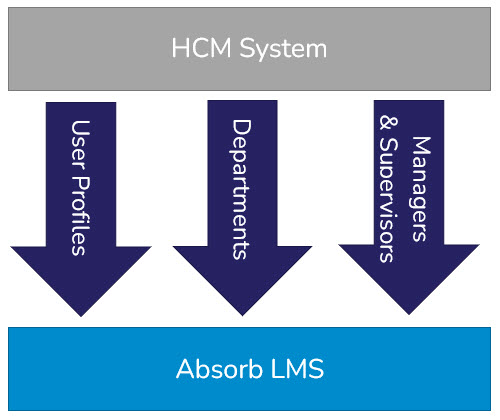 HCM