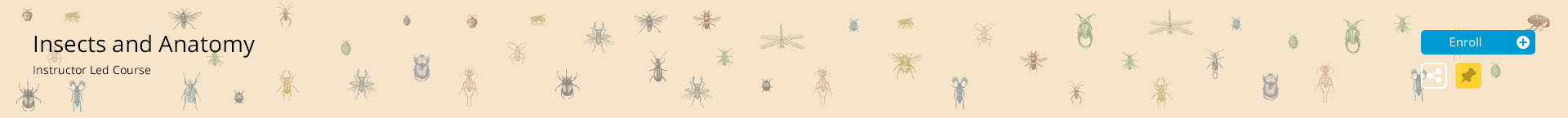 sample2.png