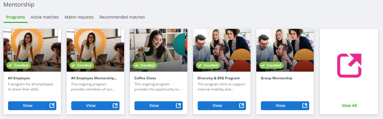 Mentorship Ribbon revised.png