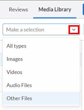 absorb-create-standalone-media-library-make-a-selection.png