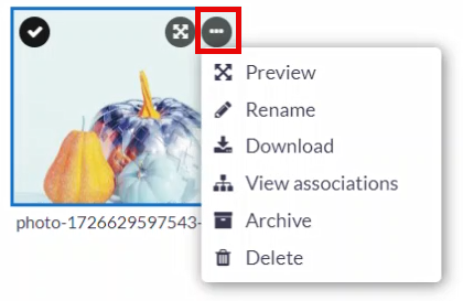 absorb-create-standalone-media-library-file-options.png
