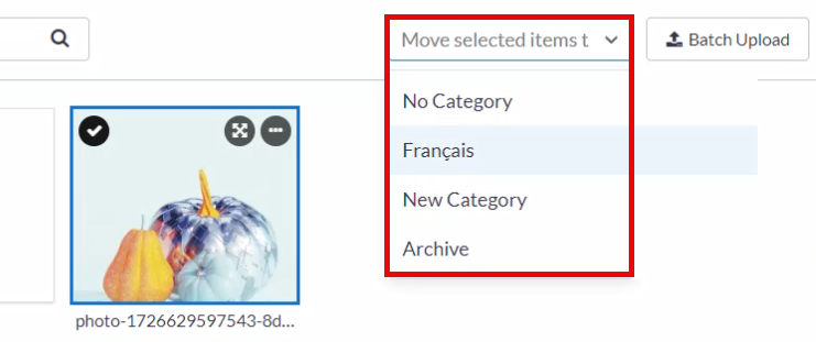 absorb-create-standalone-media-library-move-item-to-category.png