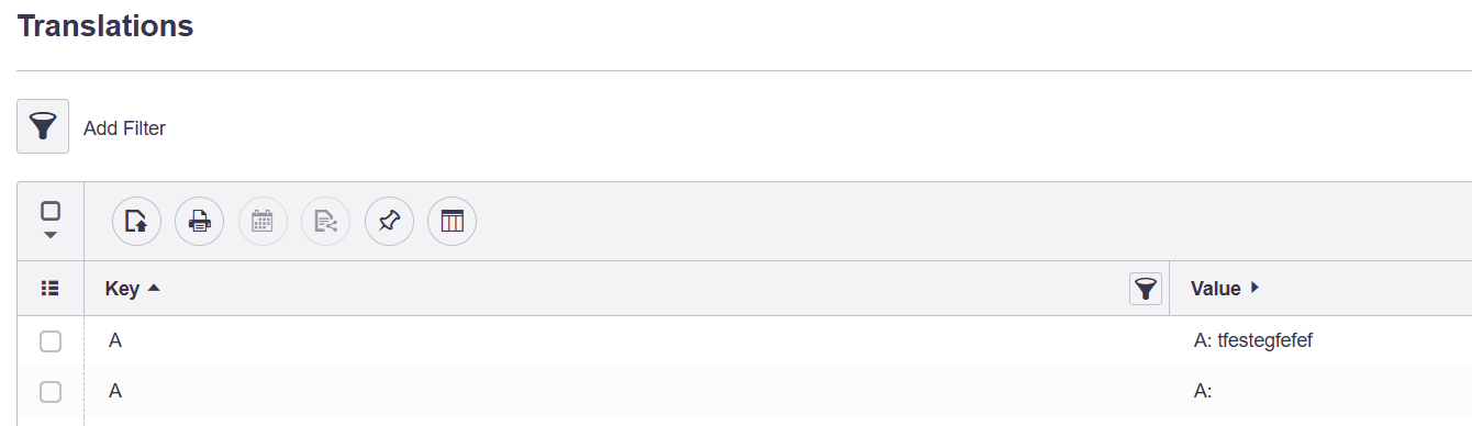 Filtering options in the Translations Report