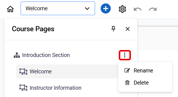 Section parameters menu showing Rename and Delete options